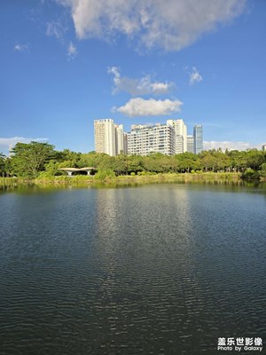 红树林公园