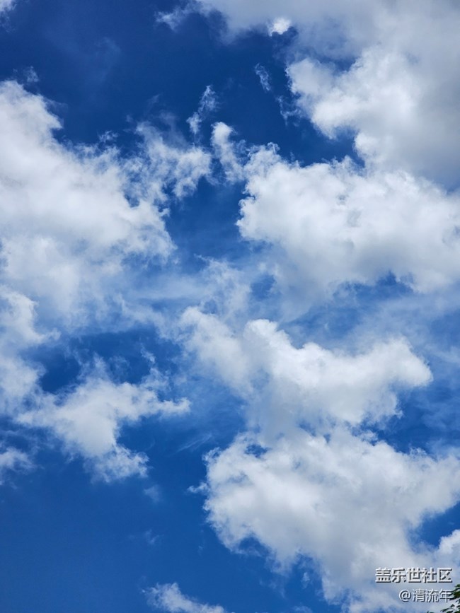 【秋季天空】蓝天正当时