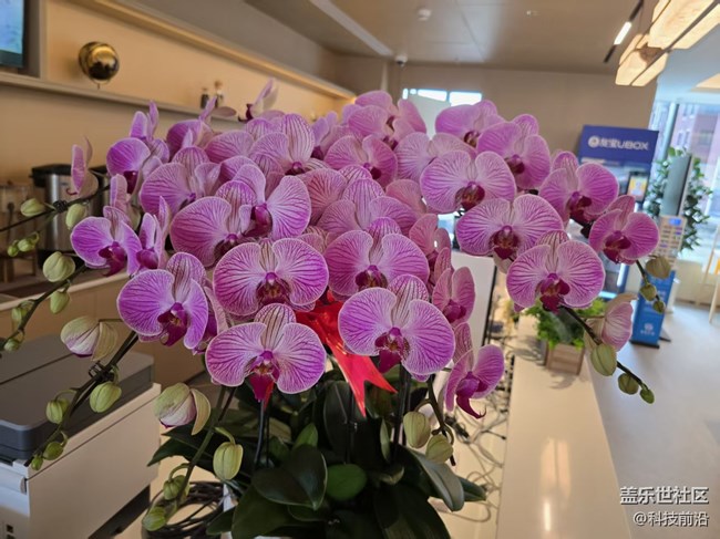 【立秋相簿】秋天的颜色