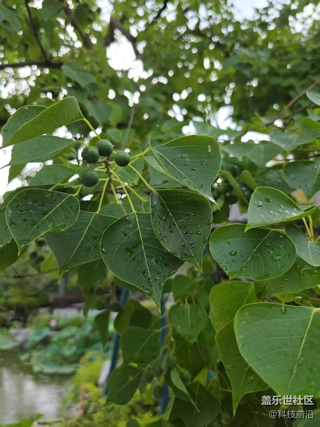 【立秋相簿】秋天的颜色