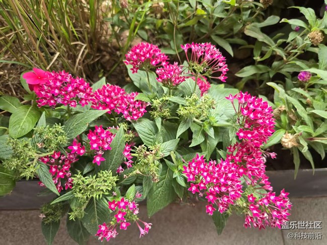 【立秋相簿】秋天的颜色