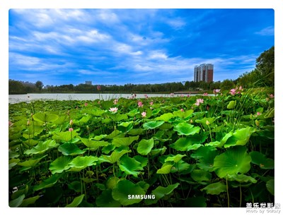 蓝蓝的天空