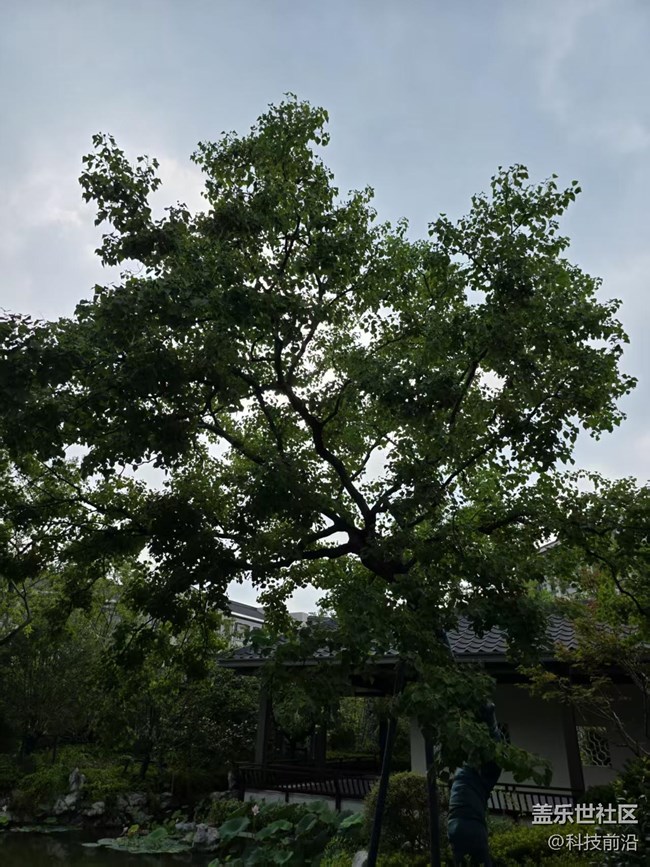 【立秋相簿】秋天的颜色