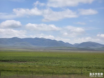 【别样精彩】+草原