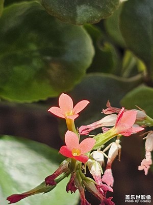 希望夏天的遗憾，是秋天惊喜的铺垫