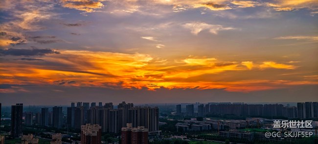 【如青春一般的盛夏】光影里的热烈与温柔