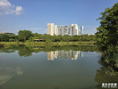 湖光倒影