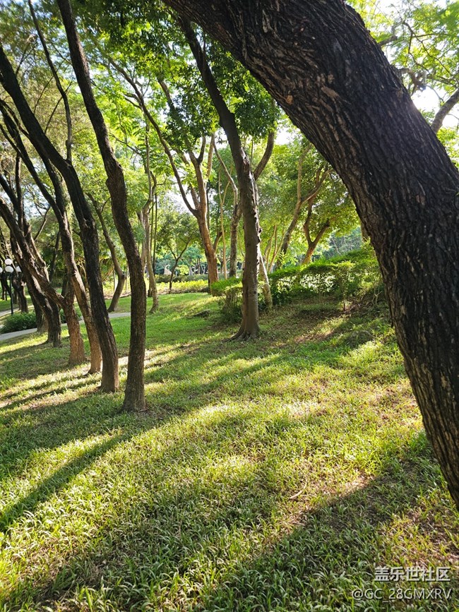 【立秋相簿】立秋光影