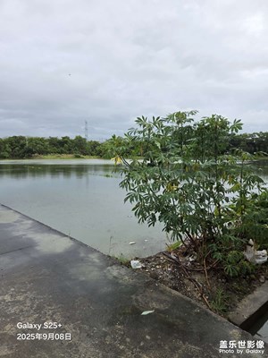 【别样精彩】雨后写50字