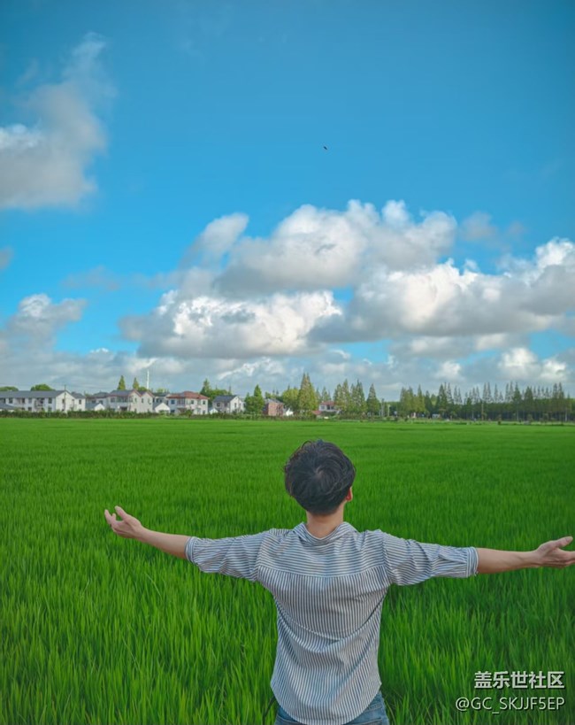 【如青春一般的盛夏】与自然相拥的时光