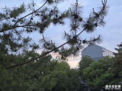 【别样精彩】+路上风景