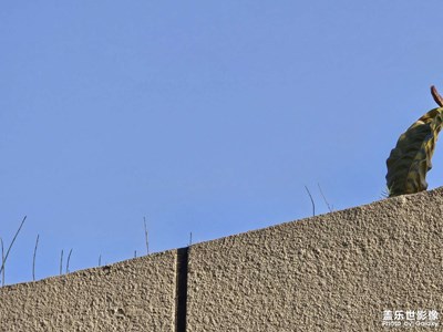 【别样精彩】+小角落