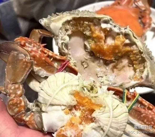 【宴坐秋庭】红膏蟹