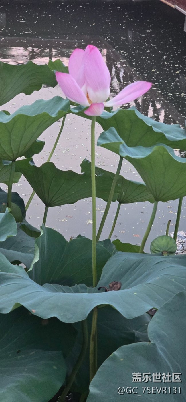 夏天水边 山头