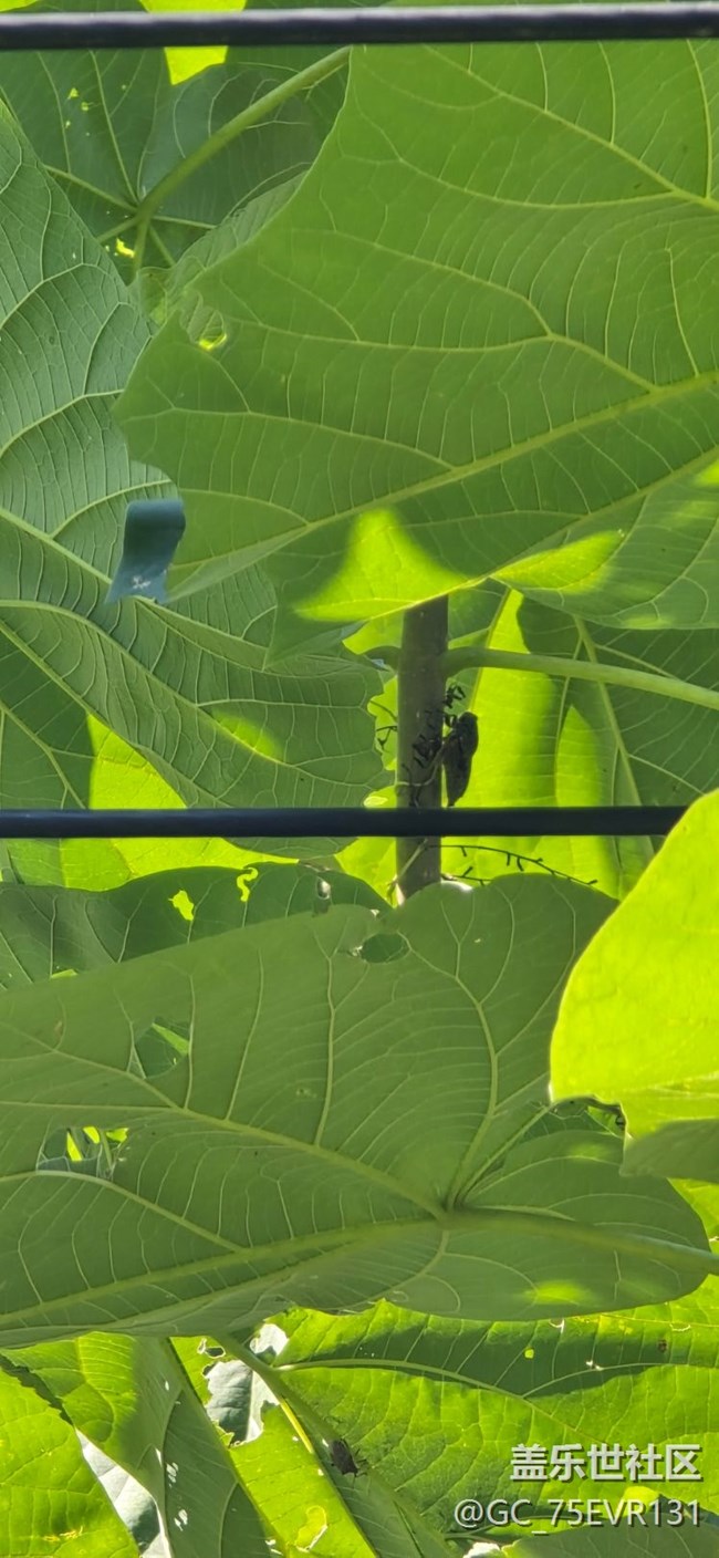 夏天水边 山头