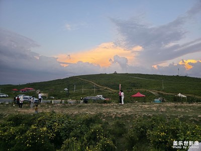 【拍出生命力】+日常随拍