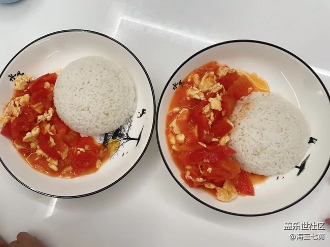 【宴坐秋庭】番茄鸡蛋盖饭