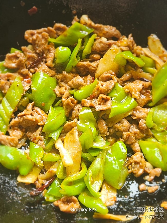 【家乡美食代表】川香盐煎肉