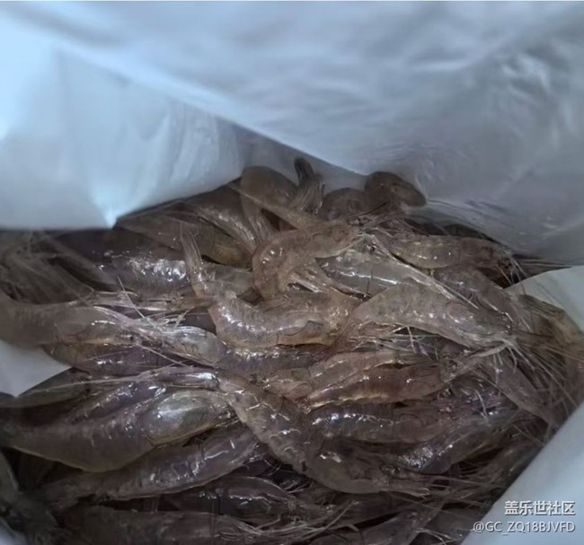 【宴坐秋庭】炸小白虾