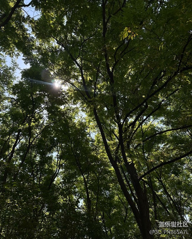 【如青春一般的盛夏】拥抱大自然