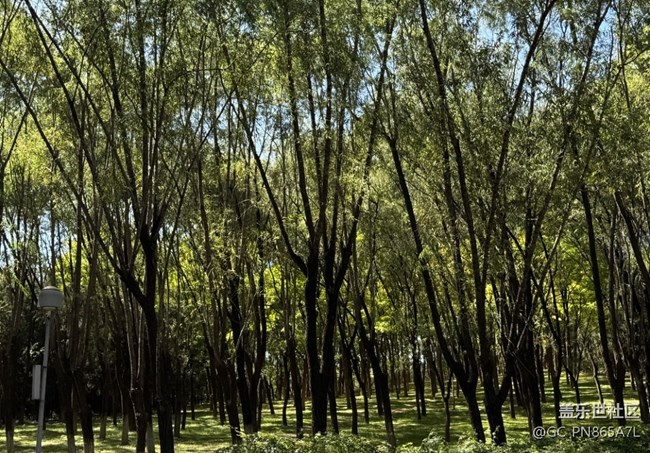 【如青春一般的盛夏】拥抱大自然