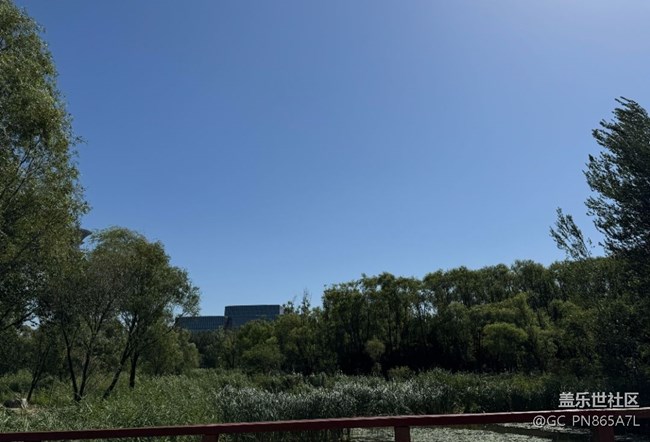 【如青春一般的盛夏】拥抱大自然