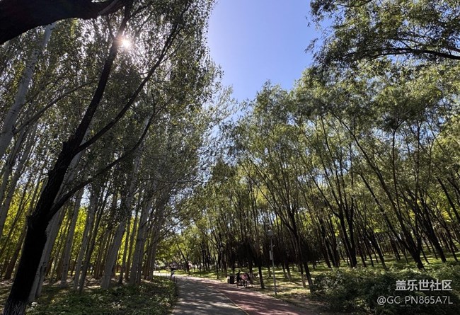 【如青春一般的盛夏】拥抱大自然