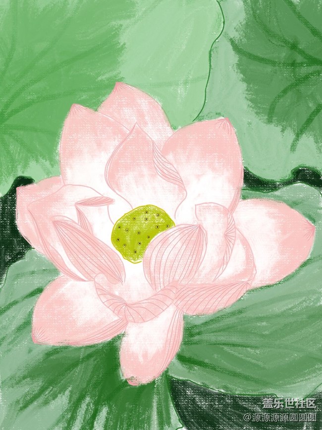 SPen绘画|夏荷