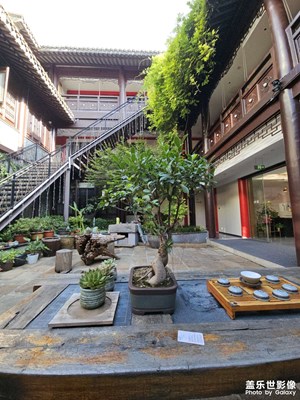 随手拍