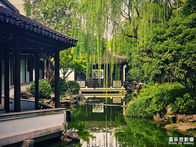 【拍出生命力】+博物馆后院
