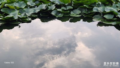 【拍出生命力】+记录生活