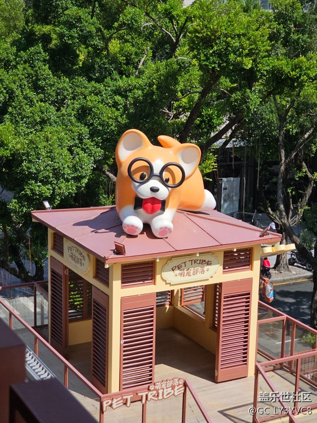 【街头色彩】扫街