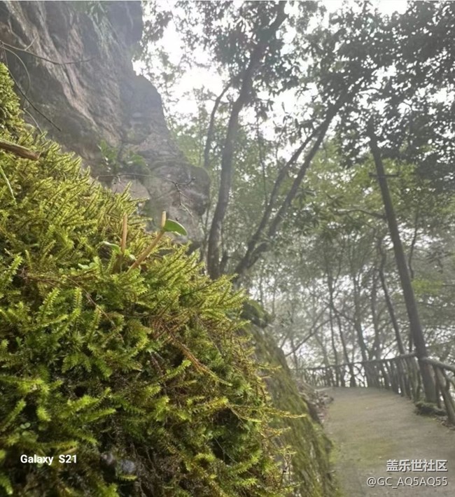 【深湾映秋】大自然