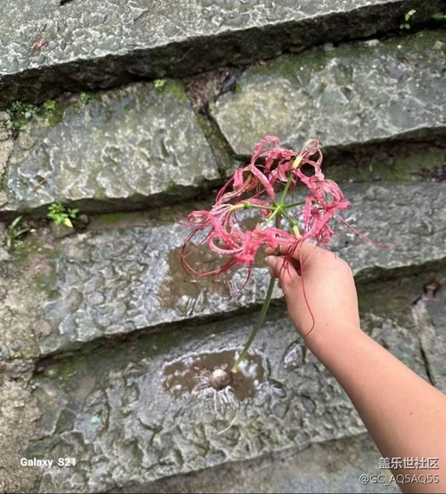 【深湾映秋】大自然