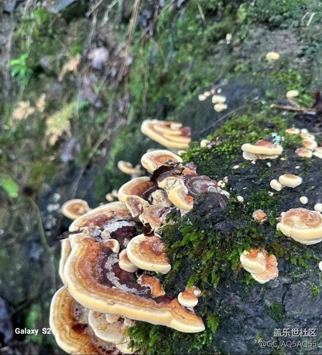 【深湾映秋】大自然