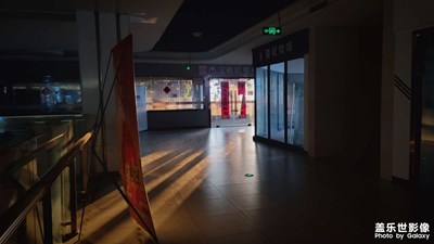 每日一拍