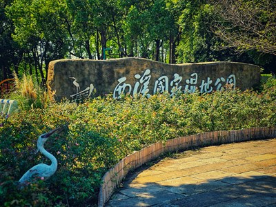 【光影里的寻找】+西溪湿地