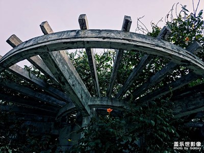 天津水上公园随拍记录