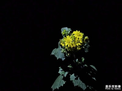 【光影里的寻找】+光影下