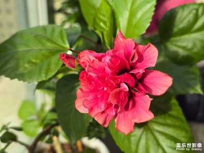 【光影里的寻找】+自然之美