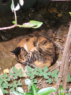 光影里的寻找＋好