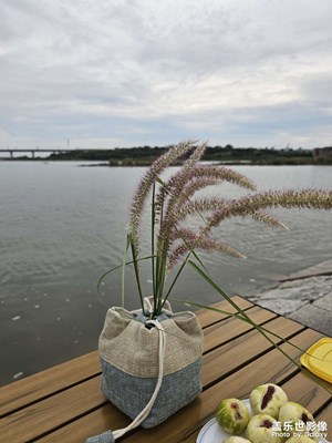 【光影里的寻找】定格那一刹