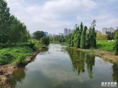 【光影里的寻找】+ 雁南公园