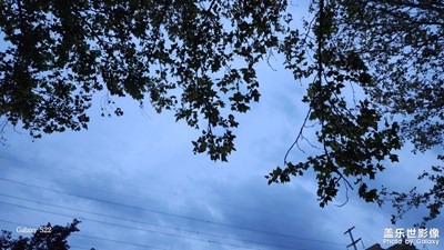 【光影里的寻找】+雨天