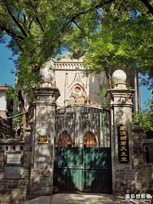 【光影里的寻找】+树影婆娑