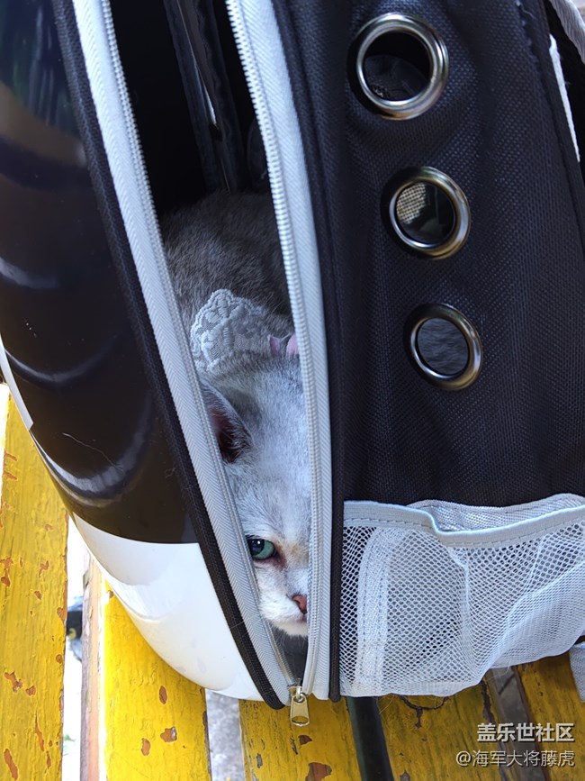 【被遗忘的角落】被遗忘的角落也有光