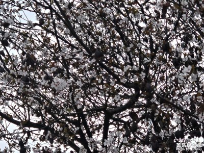 【光影里的寻找】+光影交错