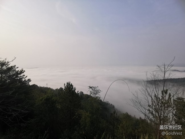 【初秋】初秋的金色时光