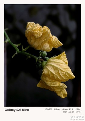 【我的视界】+我眼“框”里的世界