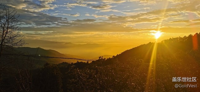 【初秋】初秋的金色时光